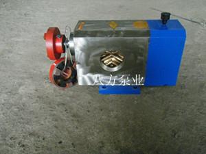 外润滑齿轮泵-不锈钢外润滑齿轮泵-FXA-FXB不锈钢外润滑齿轮泵